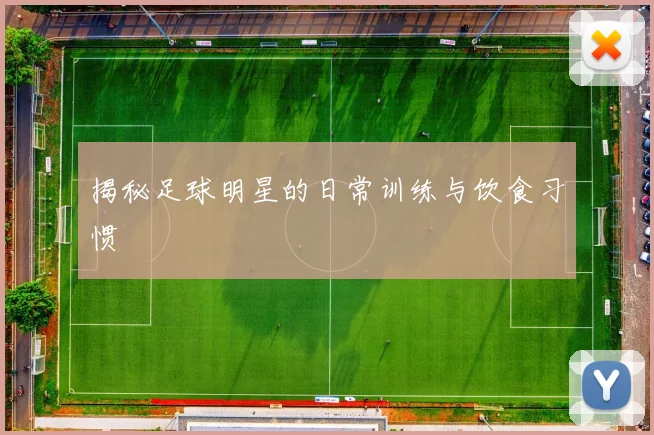 揭秘足球明星的日常训练与饮食习惯