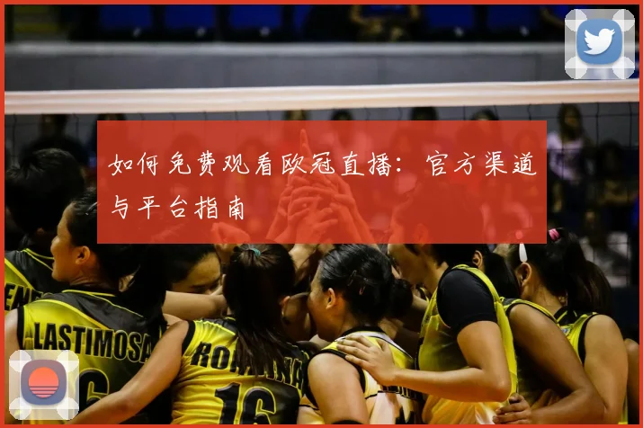 如何免费观看欧冠直播：官方渠道与平台指南